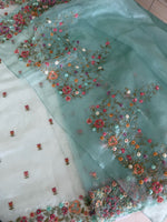 Glass organza saree/ 67HL