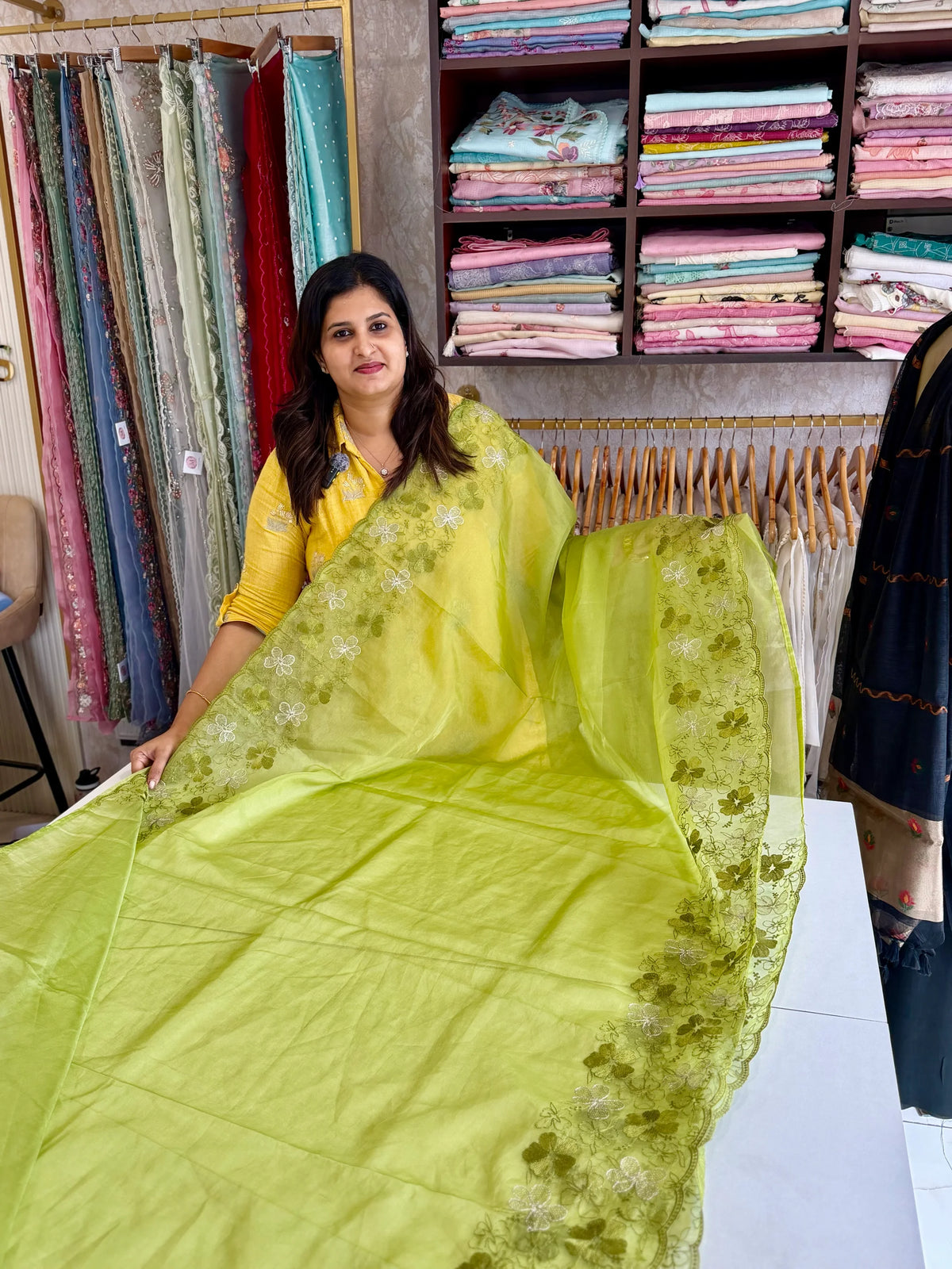 Soft organza Saree/ CW804