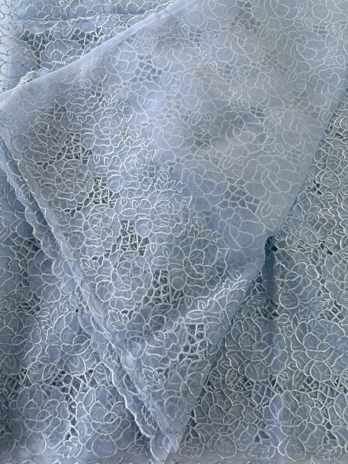 Soft Organza Saree/ AM103
