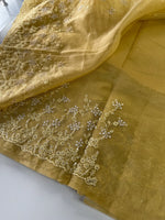 Tissue Chanderi saree/ HL456