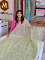 Soft organza Saree/ CW782