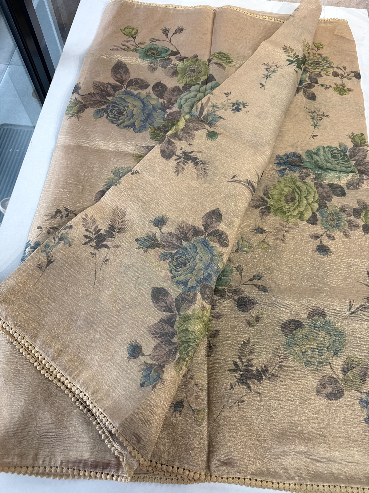 Tissue saree / BE01