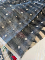 Tissue Organza Saree/ ADP24