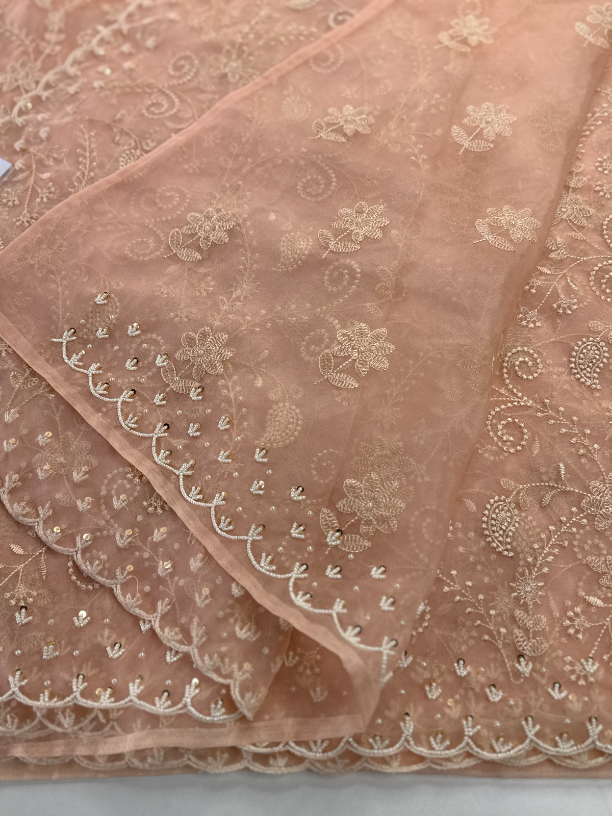 Soft Organza Saree / 221A