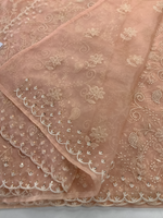 Soft Organza Saree / 221A