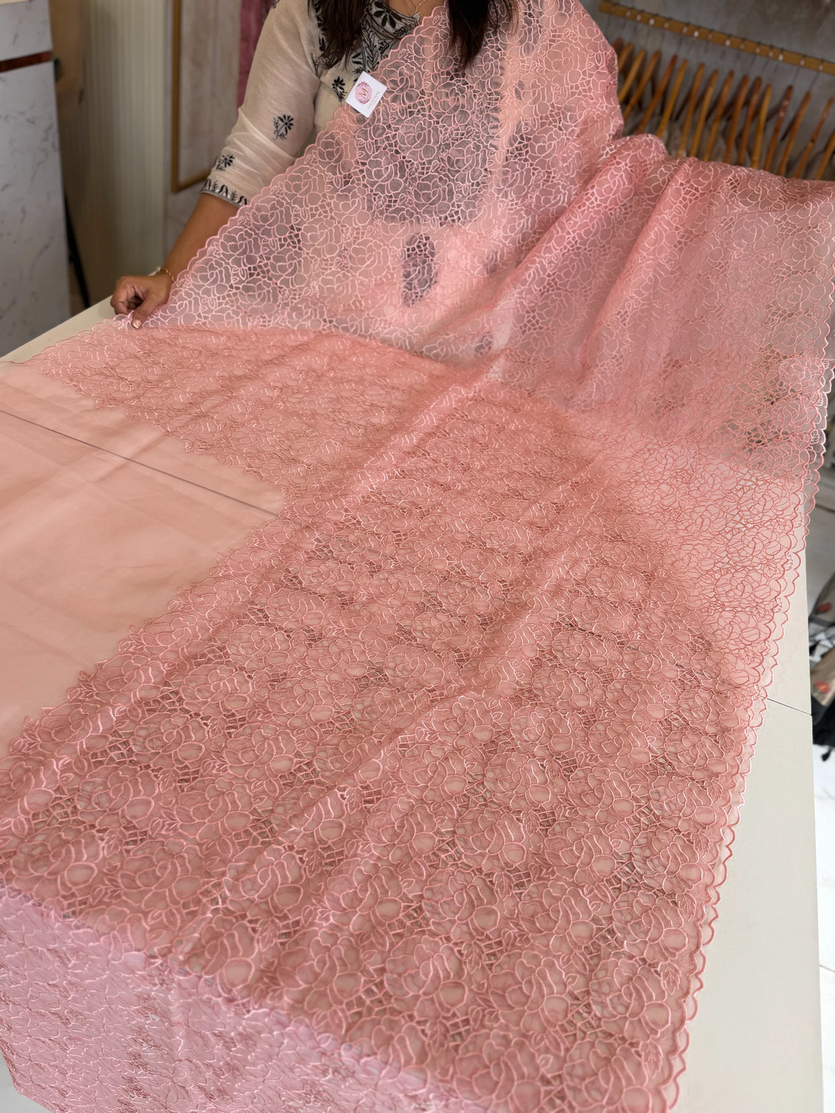 Soft Organza Saree/ AM103
