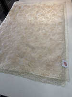 Soft Organza Saree / 221A