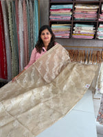 Tissue saree/ 2602