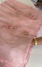 Organza foil blended Saree/ CW866