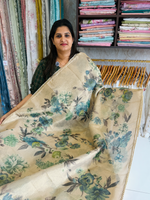 Tissue saree / BE01