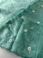 Soft Organza Saree/ CW779