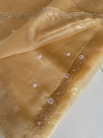 Glass organza party wear saree/ SA850