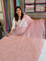 Glass Organza Saree/ AP1010