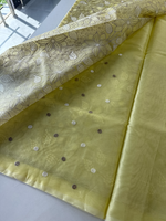 Organza Saree/ Ss845
