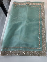 Glass Organza Saree/ AP112