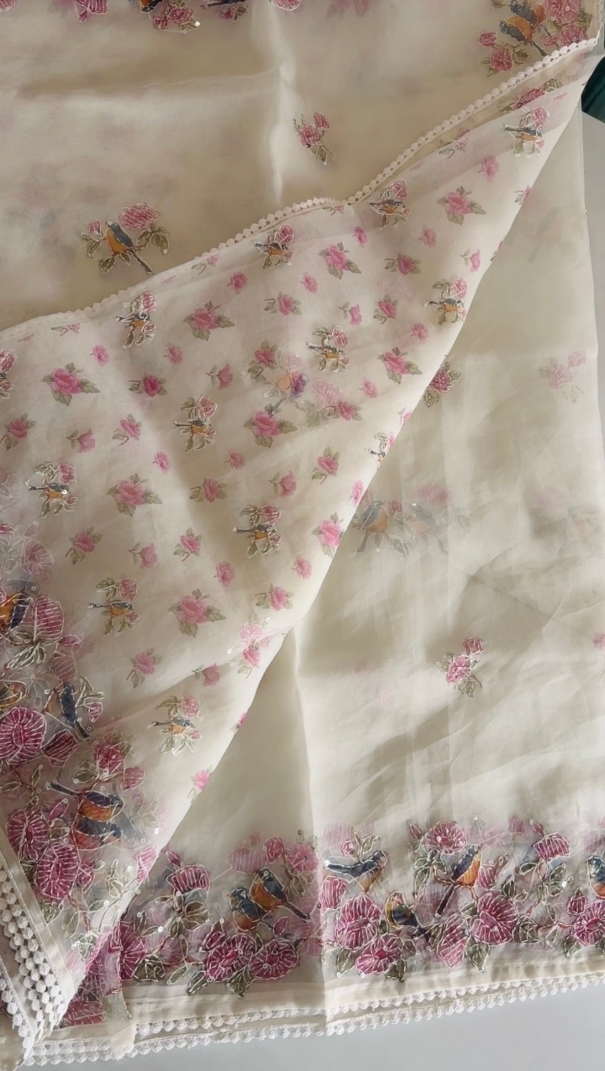 Organza Saree/ D5333