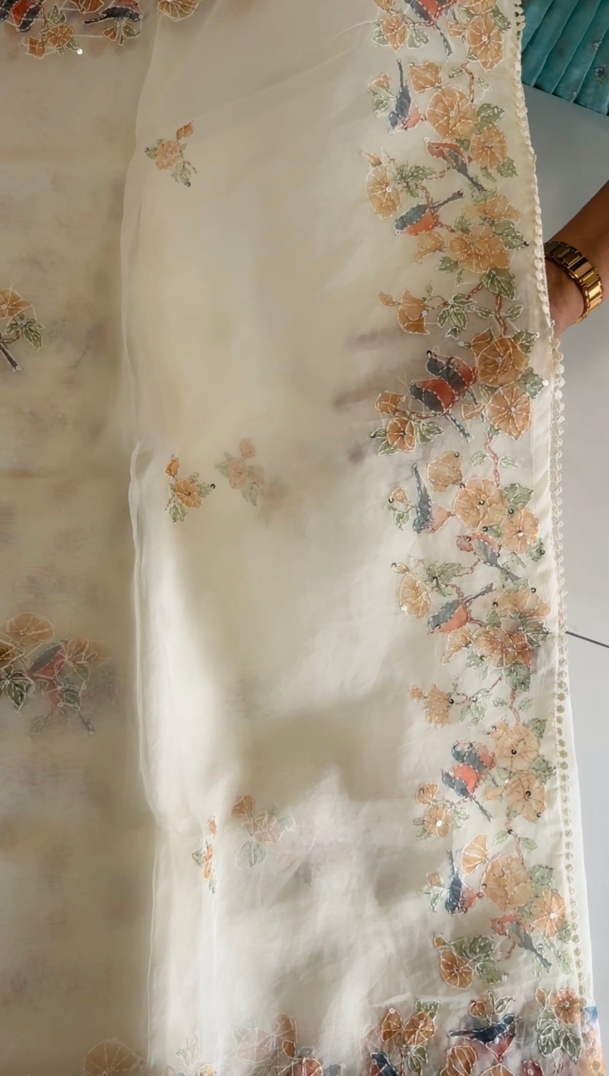 Organza Saree/ D5333