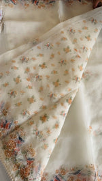 Organza Saree/ D5333