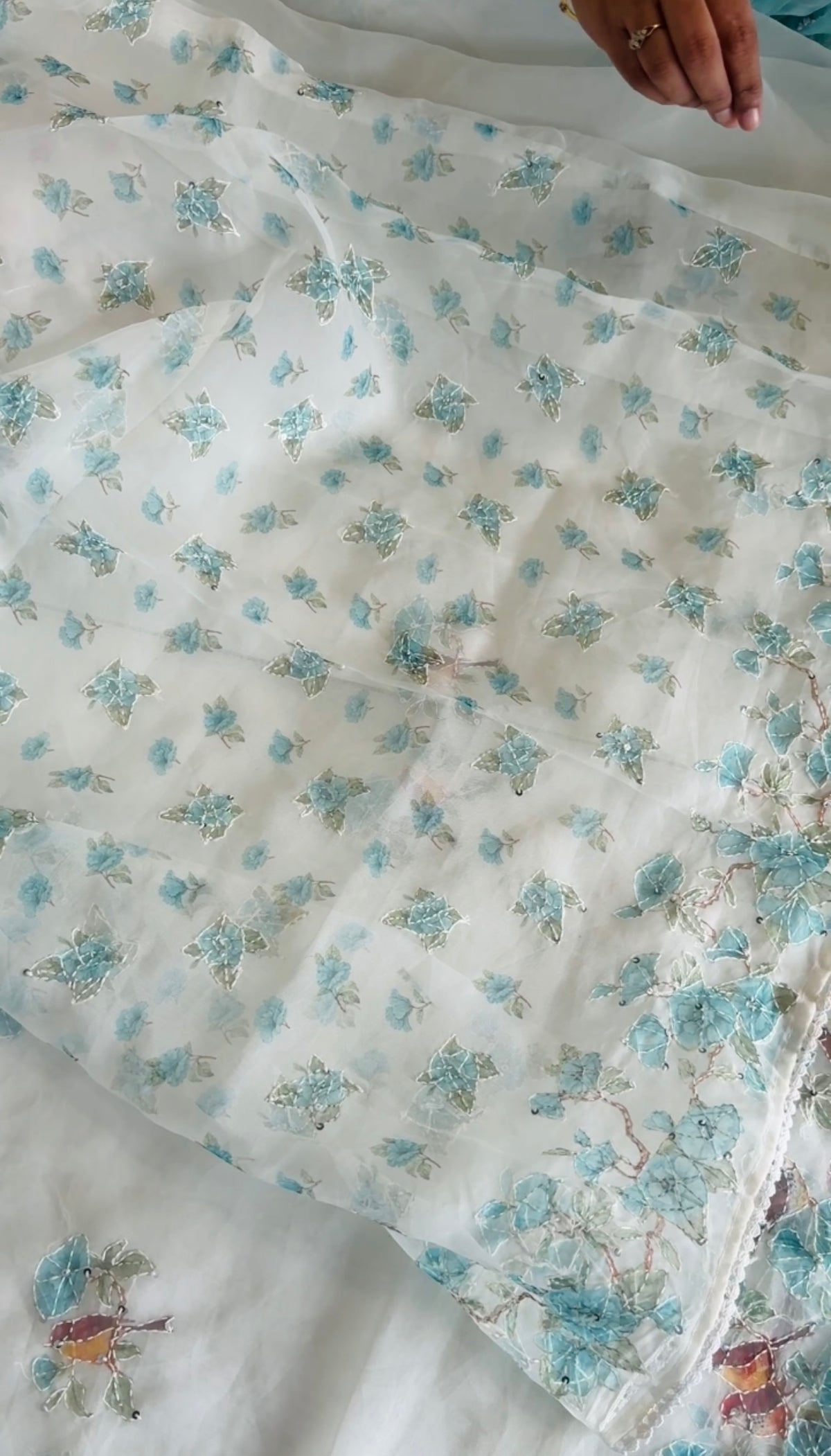 Organza Saree/ D5333