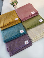 Crushed Organza Saree/ CW3166
