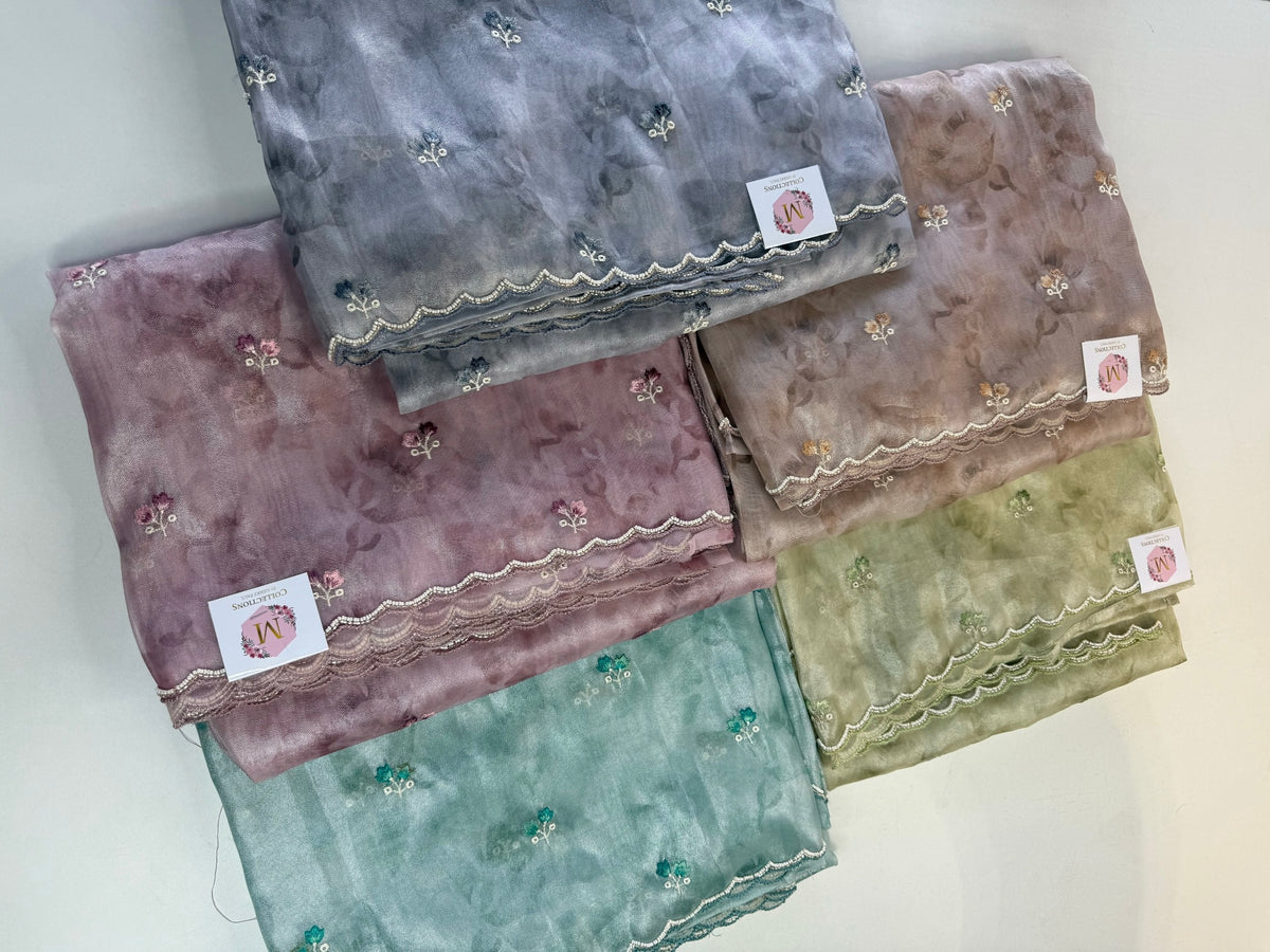 Tissue Organza Saree/ RKF14