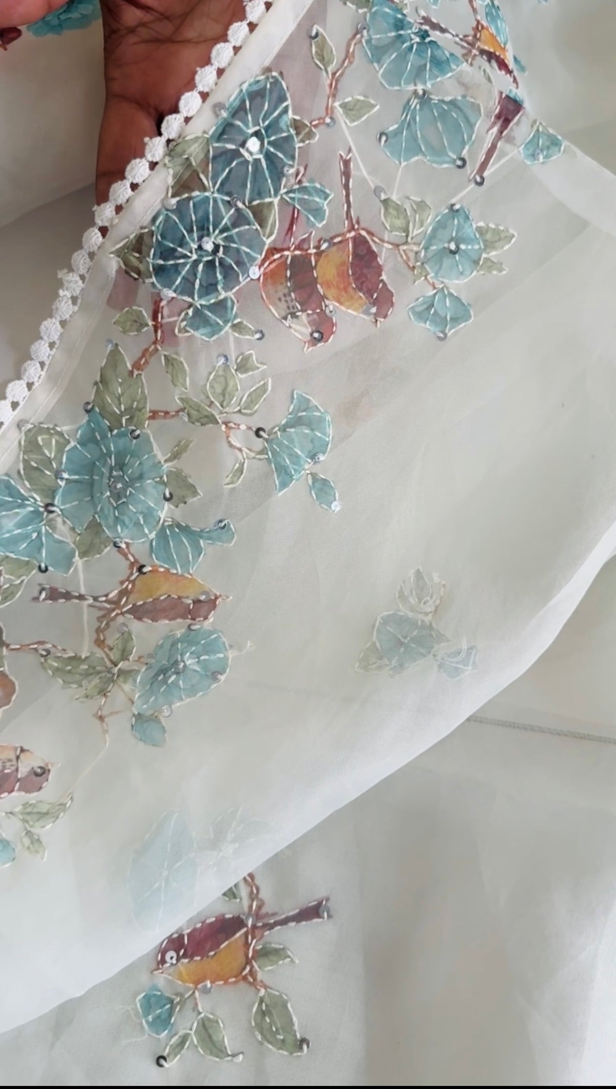 Organza Saree/ D5333