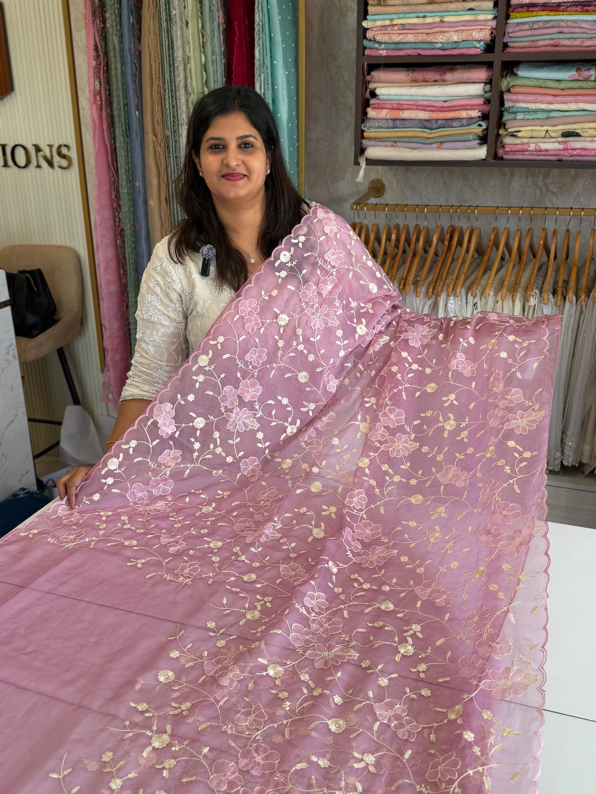 Soft Organza Saree/ CW779