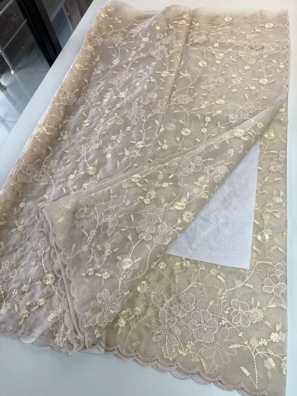 Soft Organza Saree/ CW779