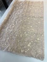 Soft Organza Saree/ CW779