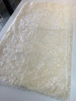 Soft Organza Saree/ CW779