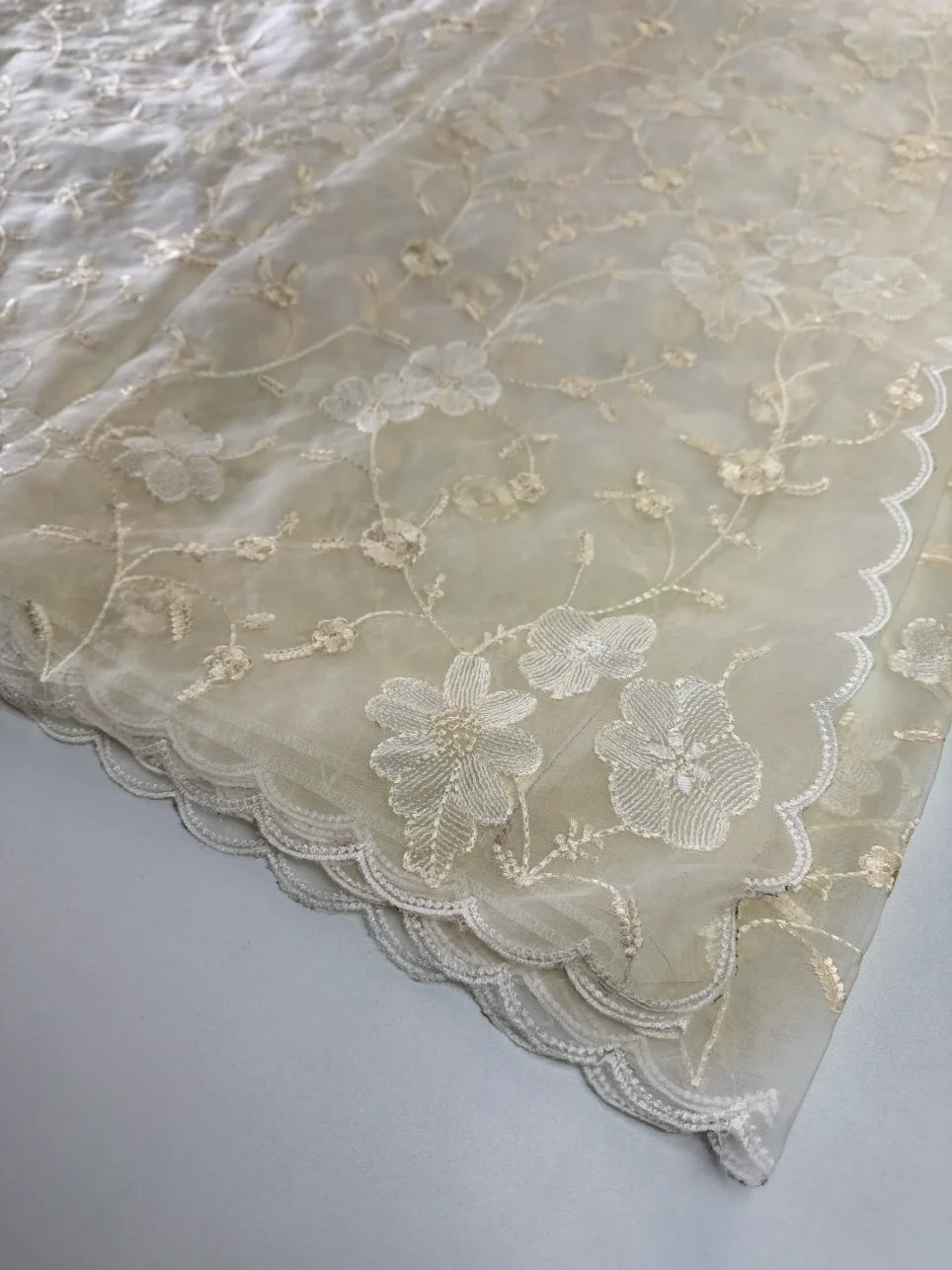 Soft Organza Saree/ CW779