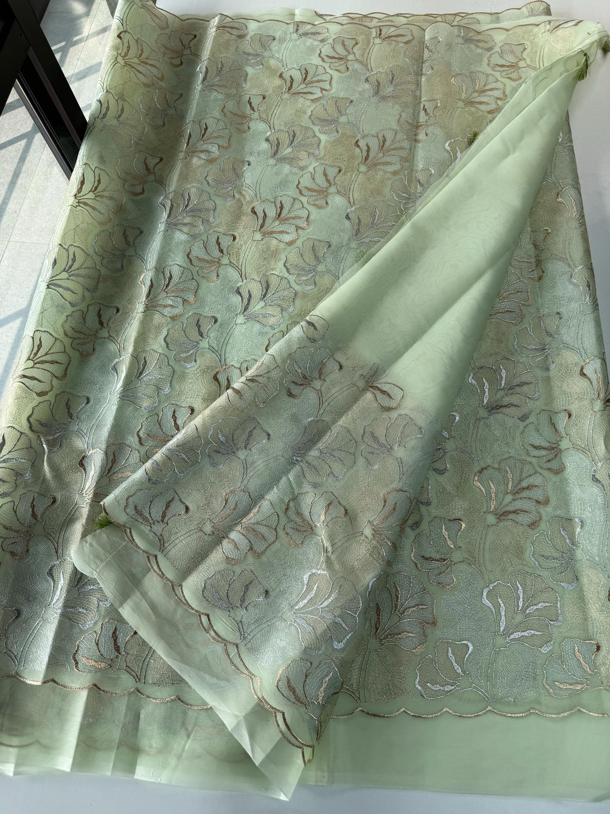 Organza saree/ STU05