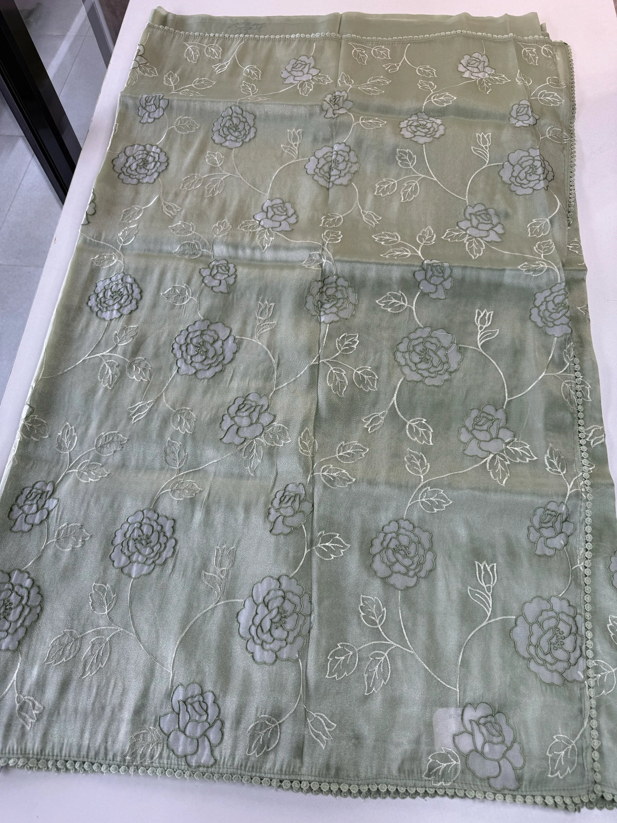 Tissue Organza Saree/ SC80