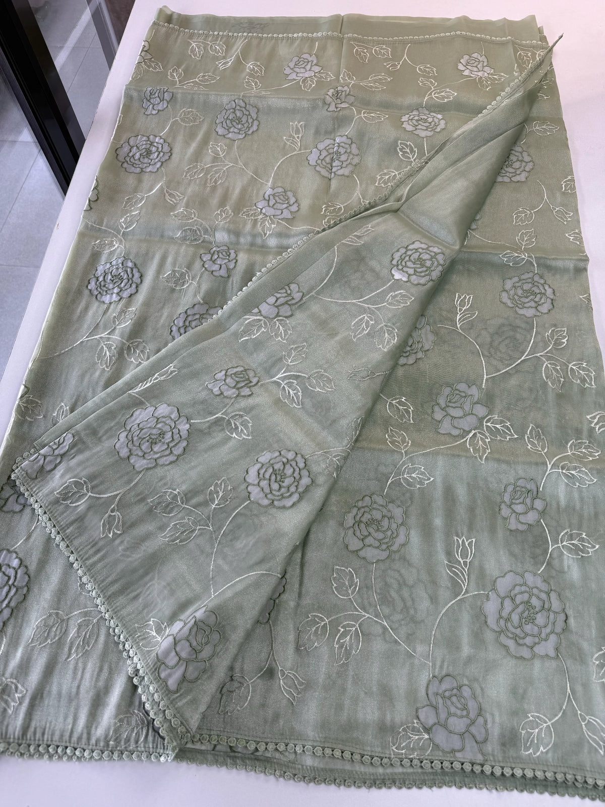 Tissue Organza Saree/ SC80