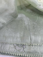 Tissue Organza Saree/ SC80
