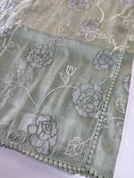 Tissue Organza Saree/ SC80