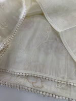 Tissue Organza Saree/ SC80