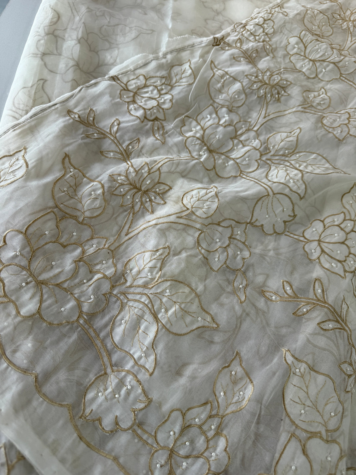 Viscous Organza Saree/ AWS22