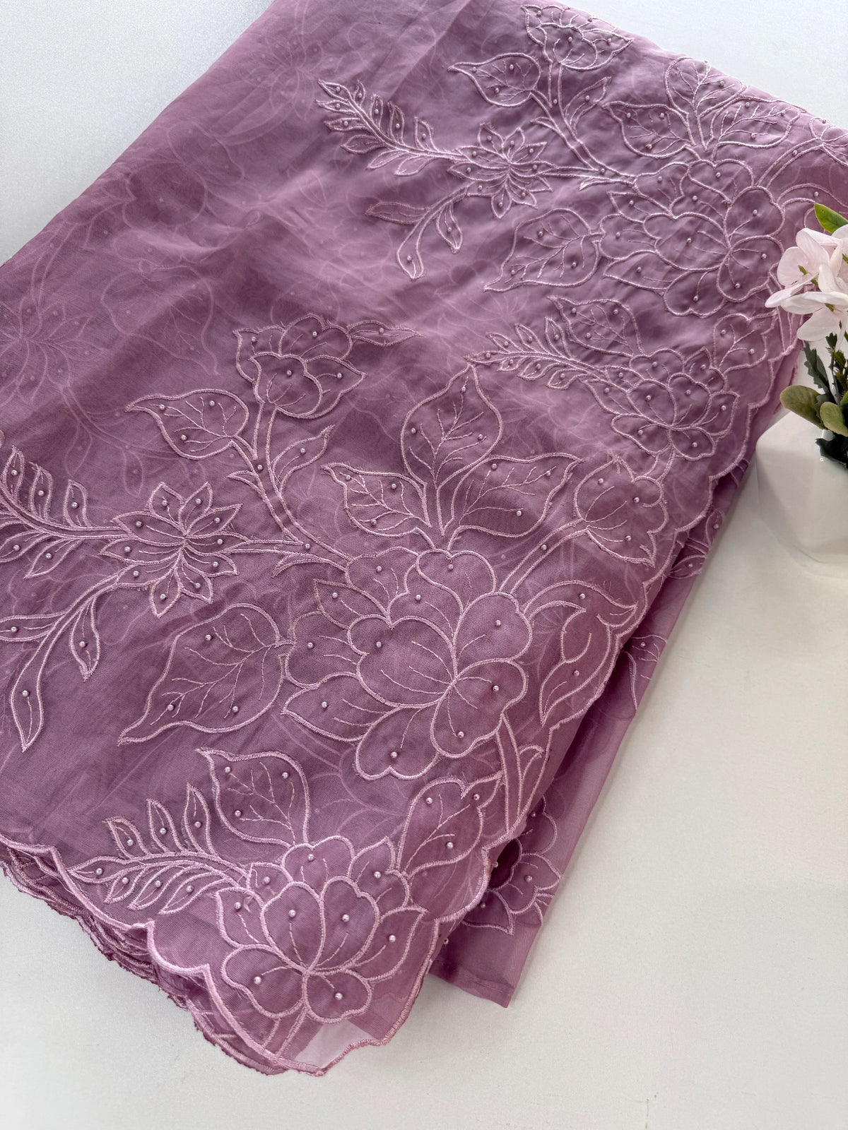 Viscous Organza Saree/ AWS22