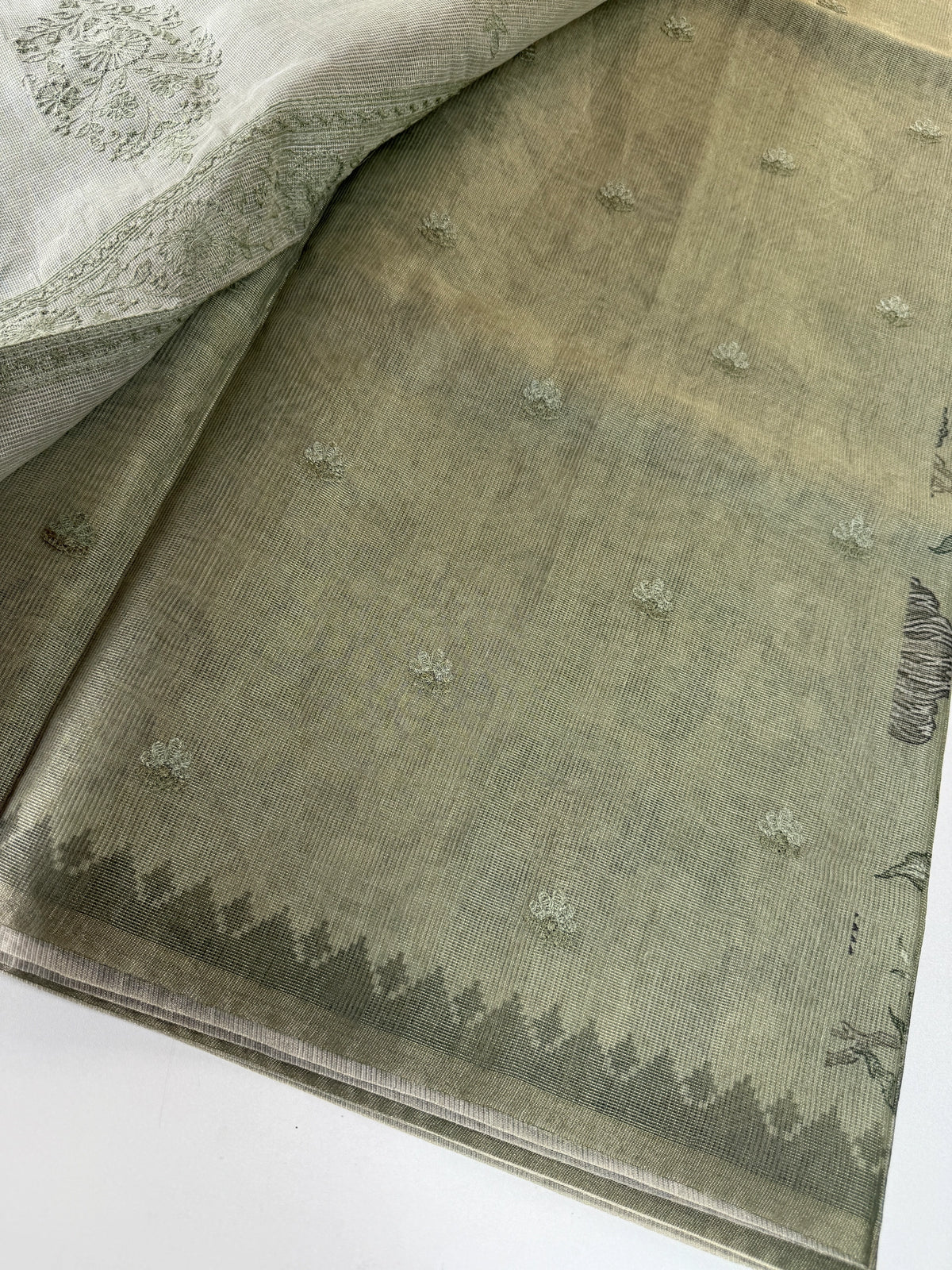 Tissue Chanderi Saree/ 527A