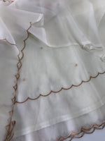 Semi Viscous Organza Saree / AWS74