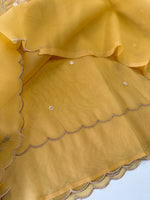 Semi Viscous Organza Saree / AWS74