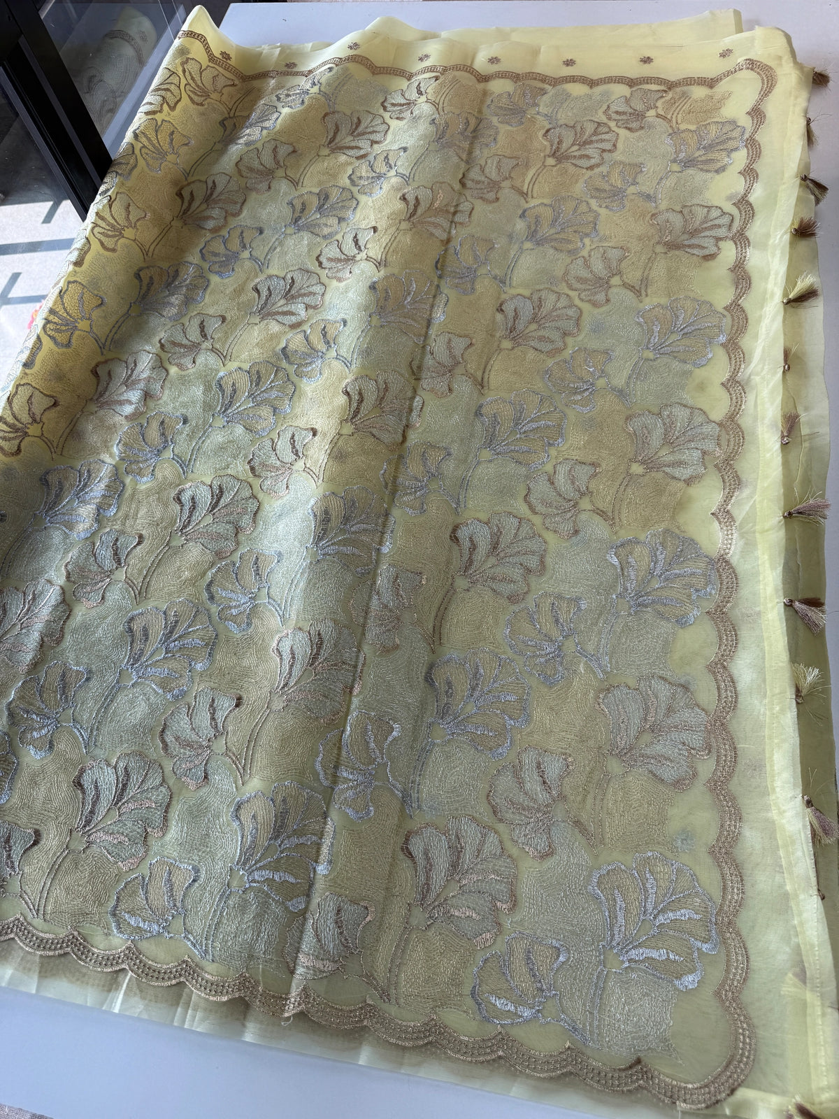 Organza Saree/ SS842