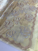 Organza Saree/ SS842