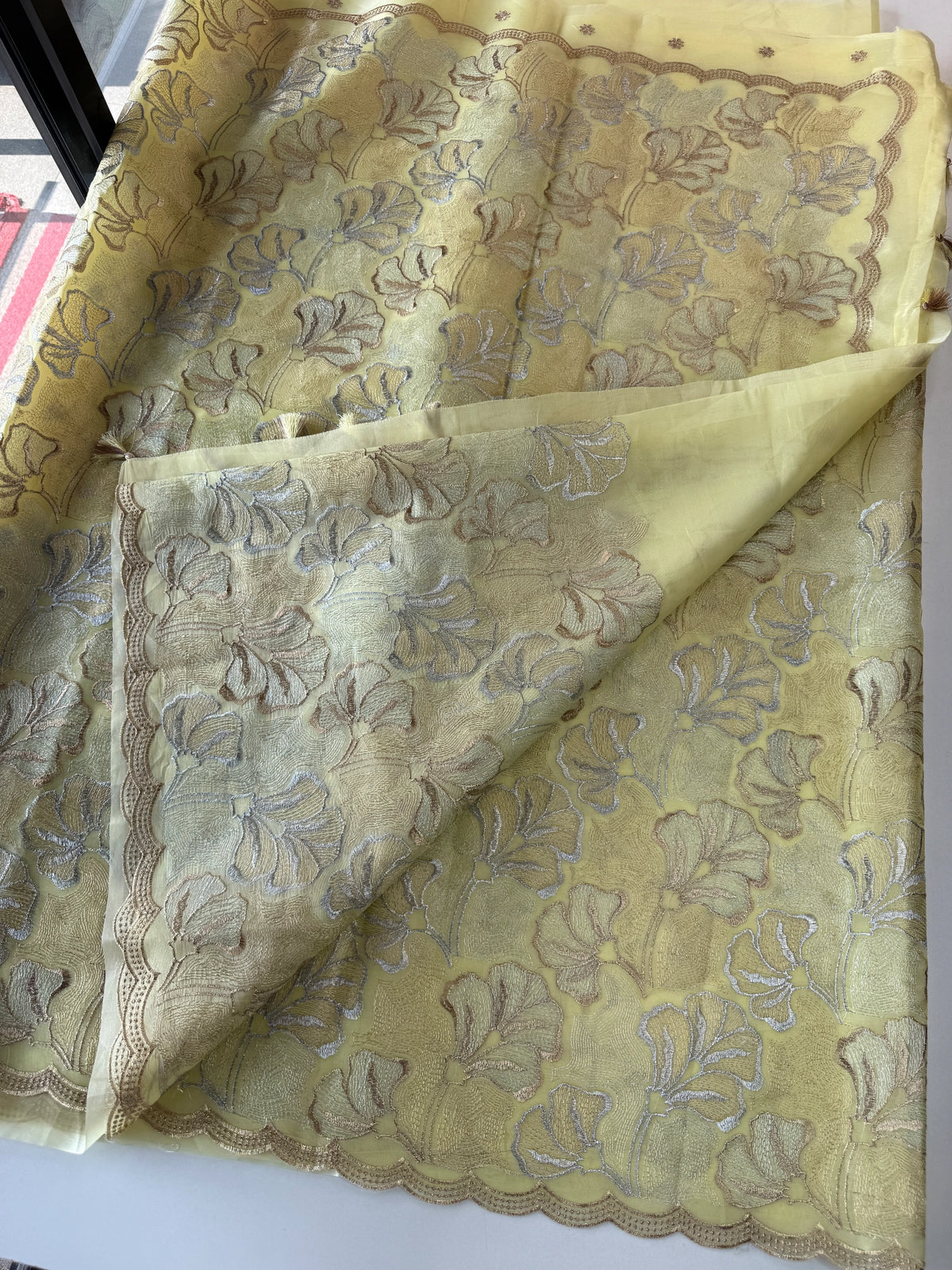 Organza Saree/ SS842