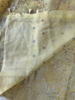 Organza Saree/ SS842