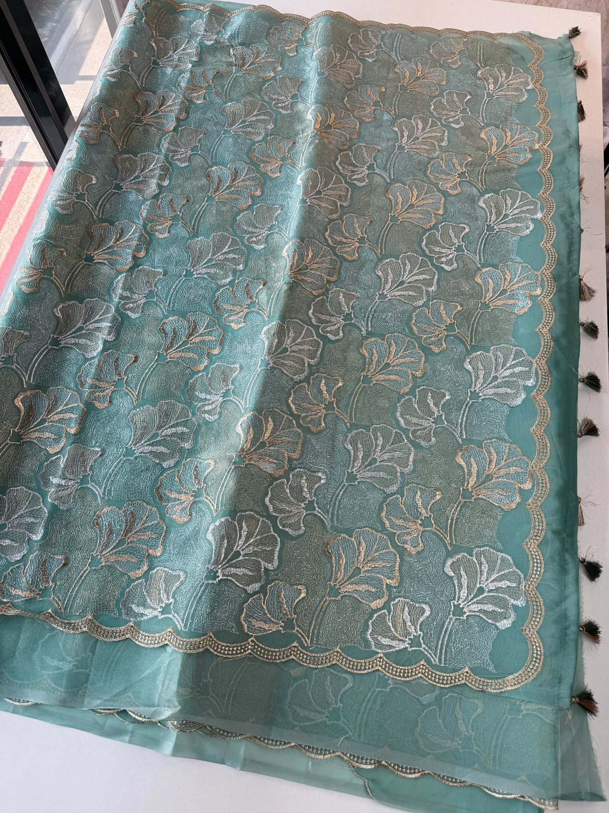 Organza Saree/ SS842