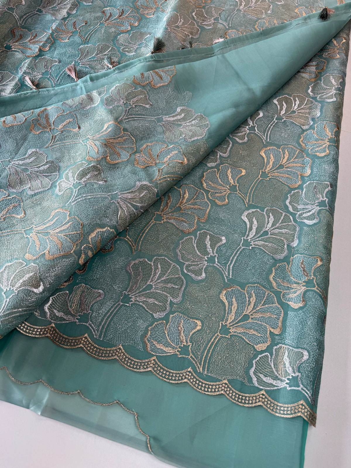 Organza Saree/ SS842