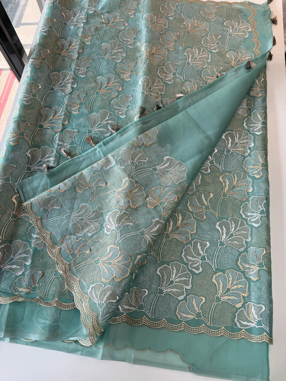 Organza Saree/ SS842