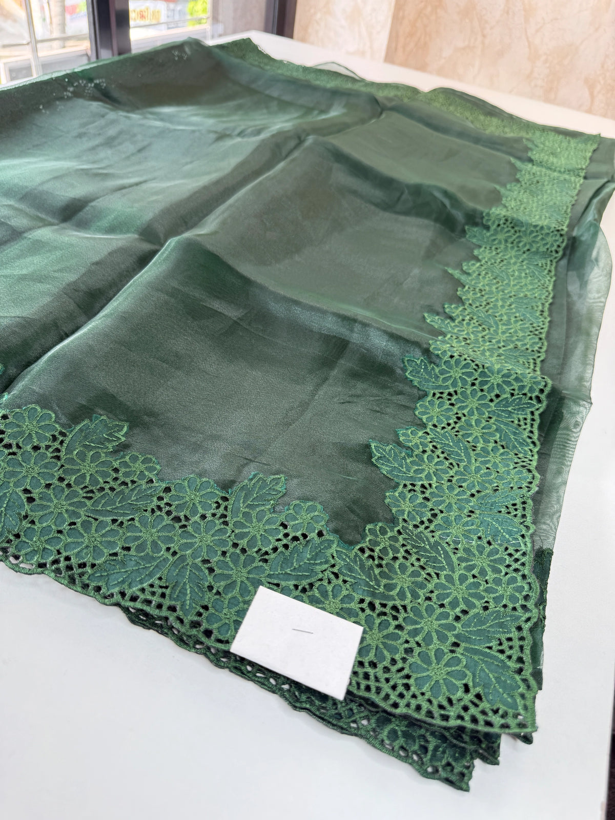 Glass Organza Saree / 199B